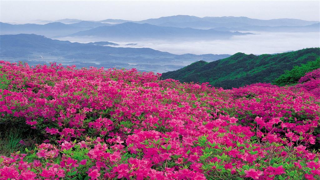 汝阳西泰山