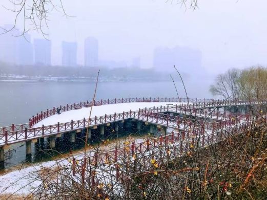 漯河老虎滩公园