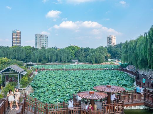 郑州紫荆山公园