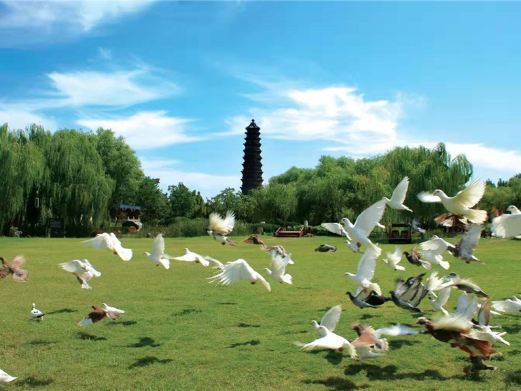 开封铁塔景区