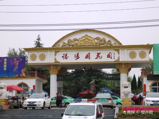 洛阳国花园