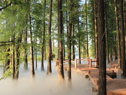 武汉东湖落雁景区