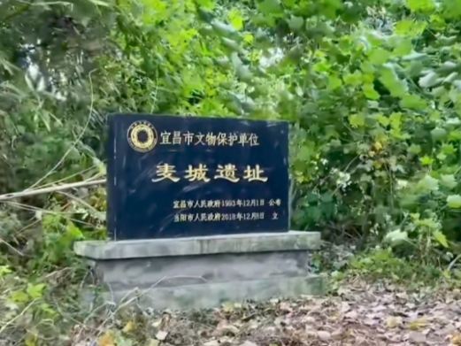 当阳麦城