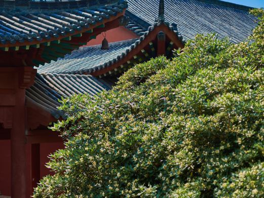 黄梅四祖寺风景区