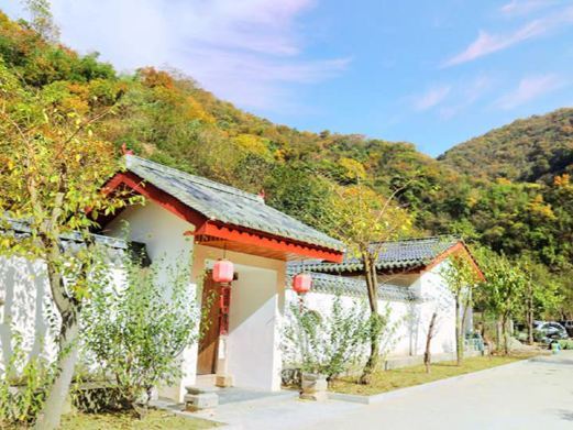 竹山太和梅花谷