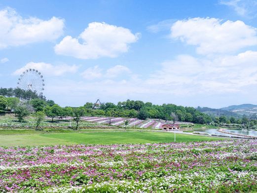 武汉花海乐园