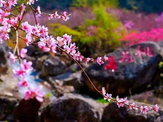 兴山朝天吼观光