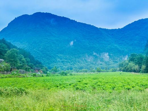 随县大洪山风景名胜区
