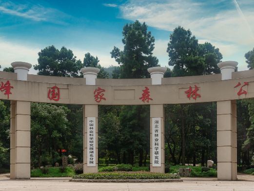 武汉九峰国家森林公园