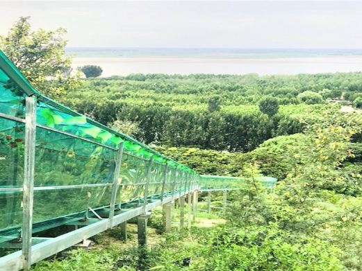 荥阳孤柏渡黄河塬休闲旅游区
