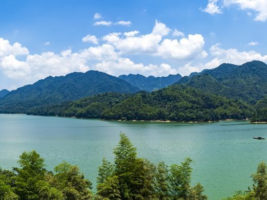 桃江桃花江森林公园