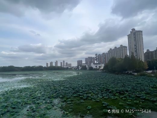 湖北潜江梅苑