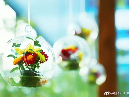 麻城菊香人家