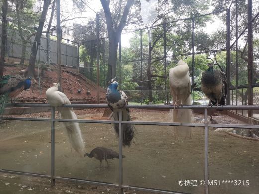 衡阳动物园