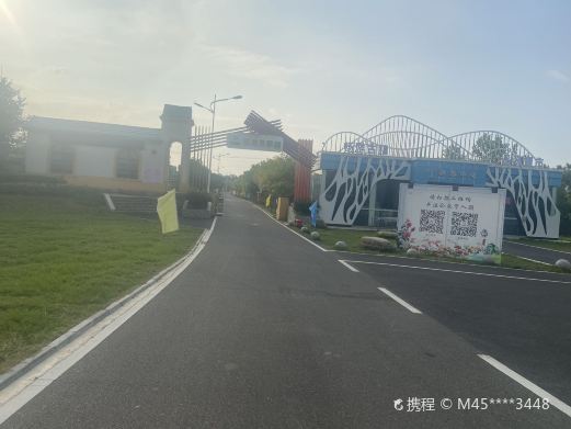 枝江枫林月季园