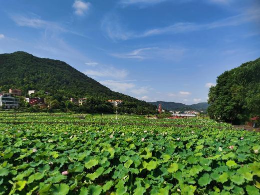 衡阳县湘西草堂