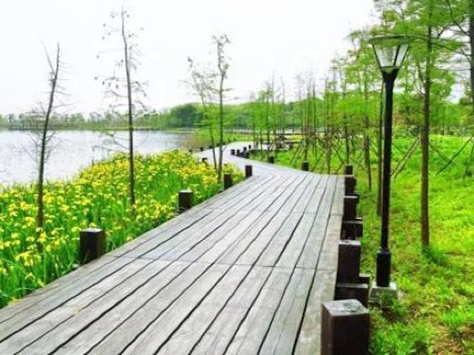武汉龙灵山生态公园