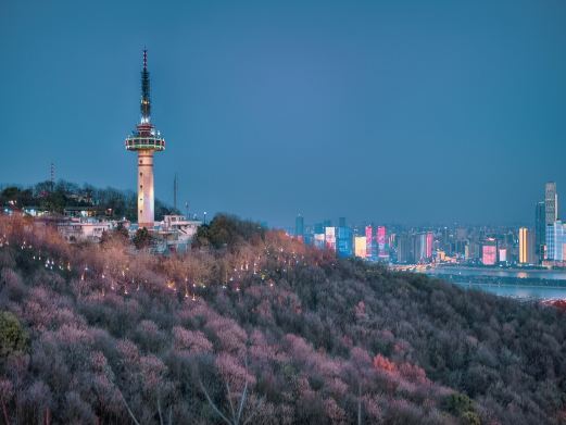 长沙广播电视塔