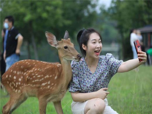 南京长生鹿苑
