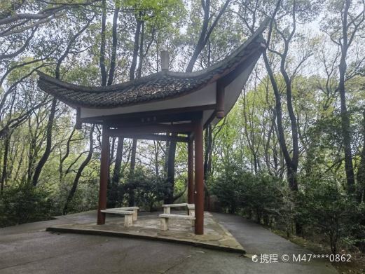 常德河洑国家森林公园