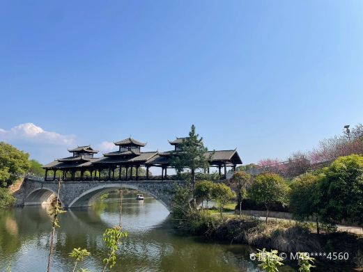 醴陵清水江桃花
