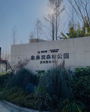 长沙象鼻窝森林公园