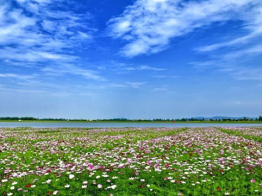 南京固城湖水慢城