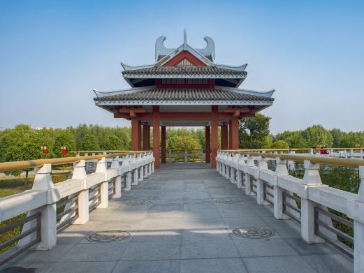 邳州沙沟湖水杉公园