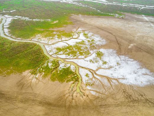 盐城黄海野鹿荡