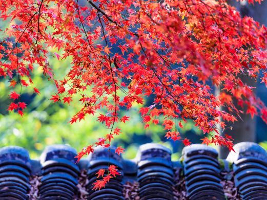 苏州定慧寺