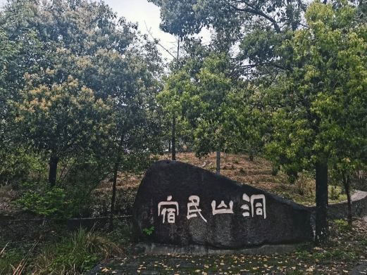 宜丰洞山