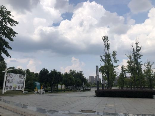 抚州凤岗河湿地公园