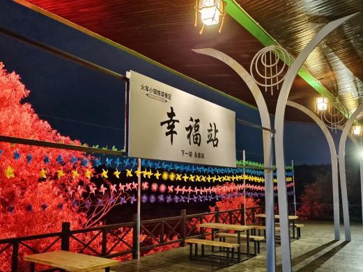 横峰和谐号列车餐厅