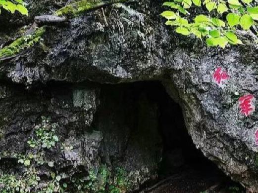 井冈山红军游击洞(龙庆仙)