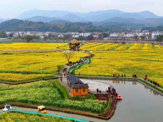 崇义冷杉良田花海影视基地