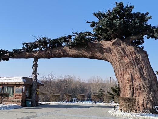 德惠市植物公园