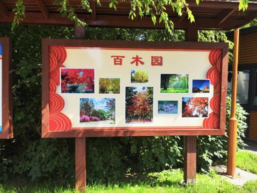 长春百木园
