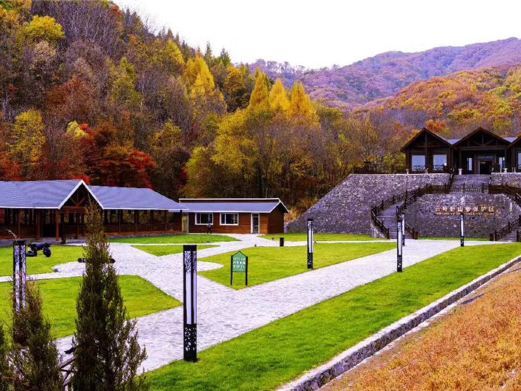 柳河云岭野山参风景区
