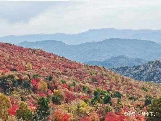 白山四方山枫叶谷