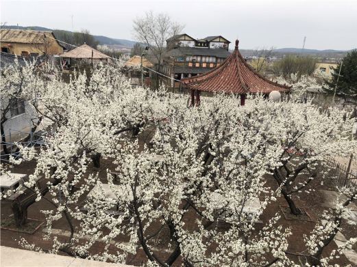 沈阳花果山神秘谷风景区