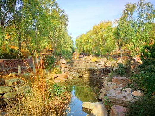 大连董家沟植物园