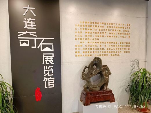 大连热带雨林奇石馆