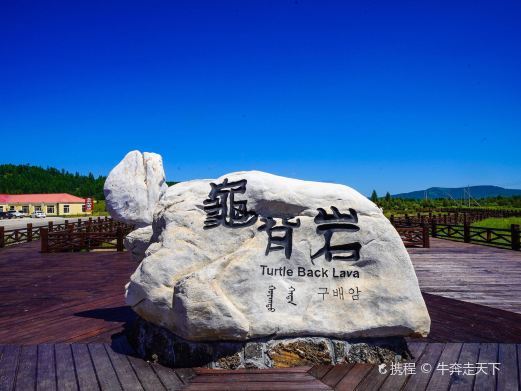 阿尔山龟背岩