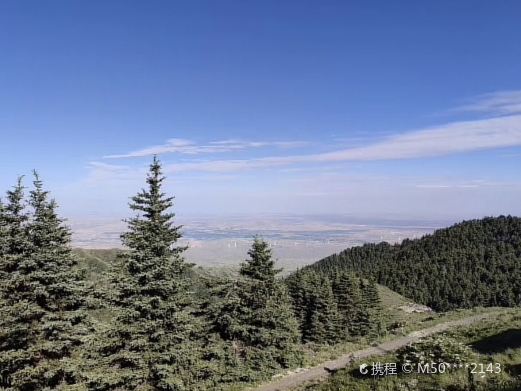 同心罗山自然保护区