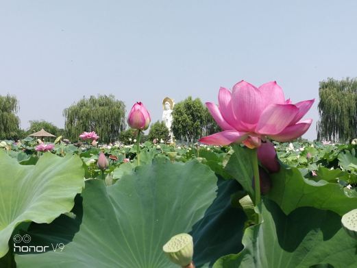 乌拉特前旗大桦背
