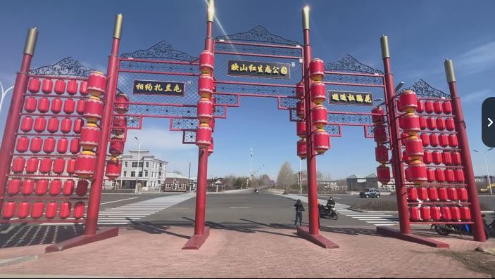扎兰屯杜鹃坡映山红生态公园