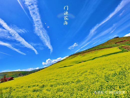 门源浪漫花海走廊