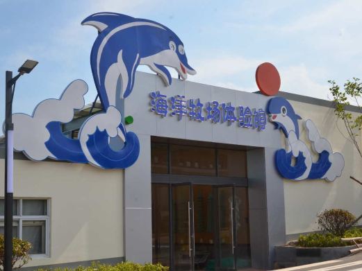荣成爱伦湾海洋牧场
