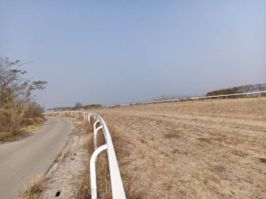 济南国际赛马场