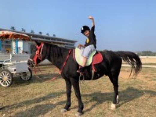 烟台新潮养马岛赛马场